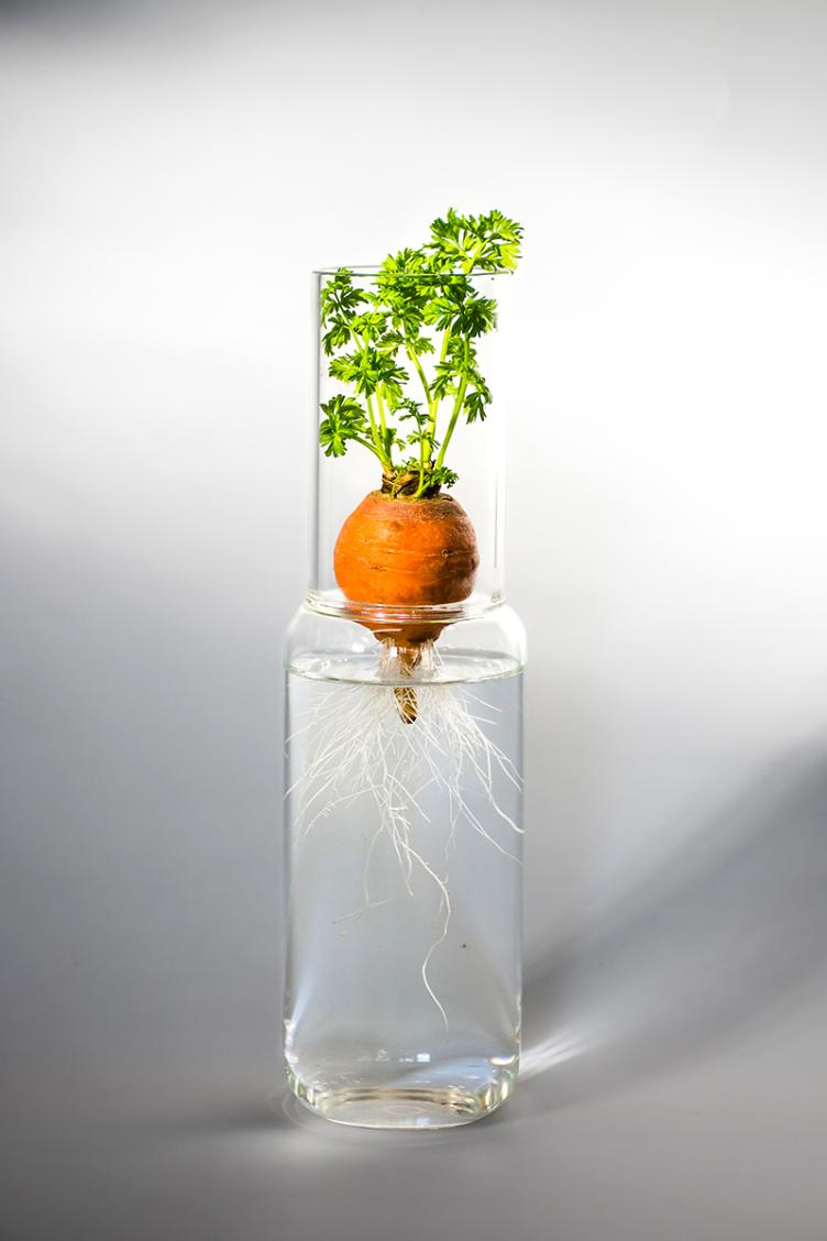 Hyazinthenglas Radix klein