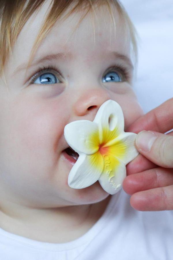 Kautschukspielzeug Hawaii - 5