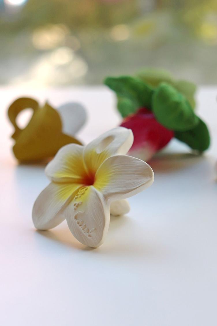 Kautschukspielzeug Hawaii - 4