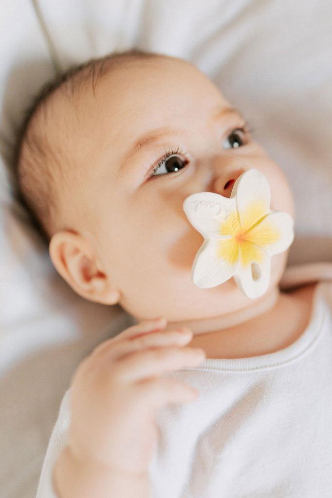 Kautschukspielzeug Hawaii