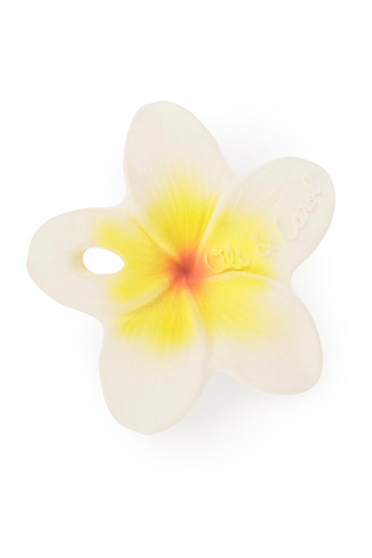 Kautschukspielzeug Hawaii - 2