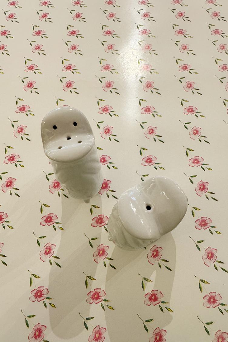 Pfeffer & Salzstreuer Fisch - 3