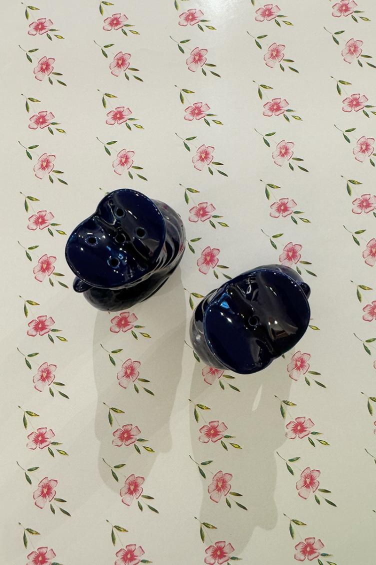 Pfeffer & Salzstreuer Fisch - 5