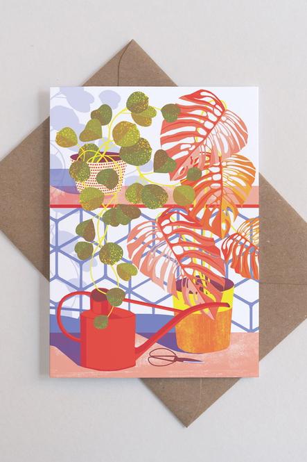 Postkarte Hoya - 0