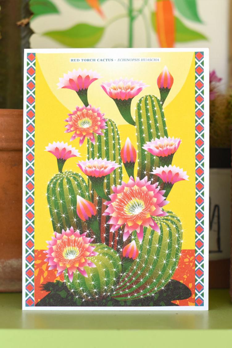 Postkarte Kaktus