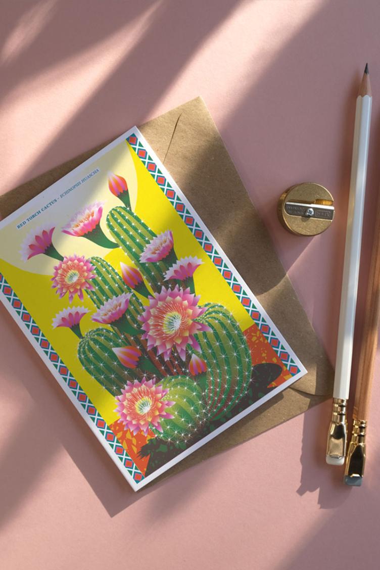 Postkarte Kaktus - 0