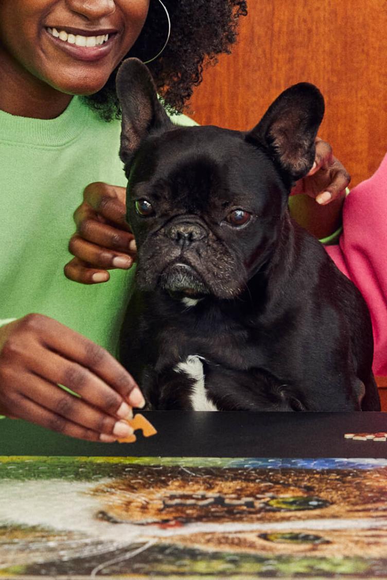 Puzzle Howdy Paw-tner 500 - 0