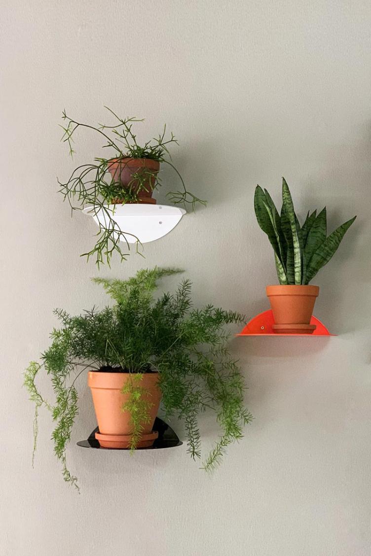 Regal dot shelf